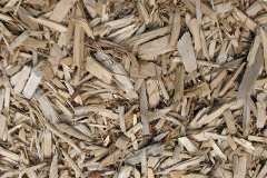 biomass boilers Lanescot